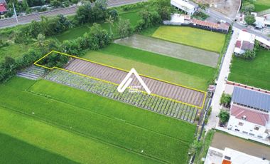 Jual Tanah Jalan Opak Harga Bu Akses Mudah Ramai Usaha