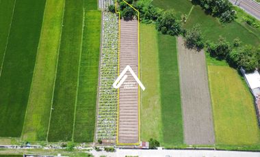 Jual Tanah Jalan Opak Harga Bu Akses Mudah Ramai Usaha