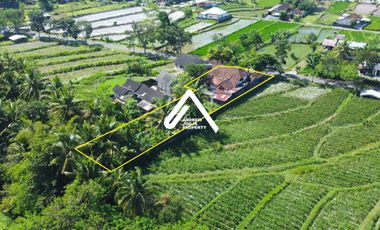 Jual Rumah View Gunung Sawah Paring Mengalir Dekat Otadan