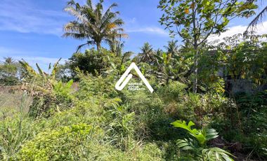 Jual Rumah View Gunung Sawah Paring Mengalir Dekat Otadan