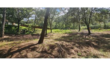 Bonito terreno en zona de bosque de mazamitla jalisco