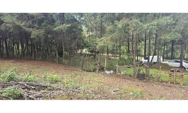 Bonito terreno en zona de bosque de mazamitla jalisco