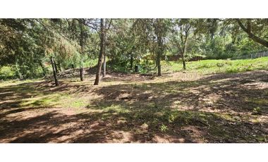 Bonito terreno en zona de bosque de mazamitla jalisco