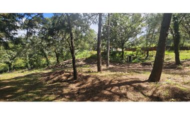 Bonito terreno en zona de bosque de mazamitla jalisco