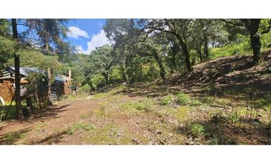 Bonito terreno en zona de bosque de mazamitla jalisco