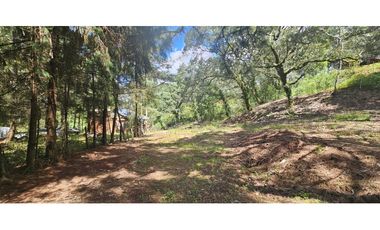 Bonito terreno en zona de bosque de mazamitla jalisco