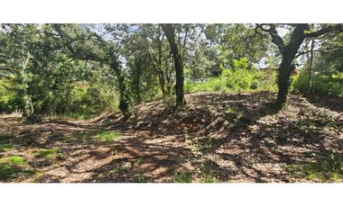 Bonito terreno en zona de bosque de mazamitla jalisco