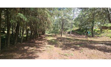 Bonito terreno en zona de bosque de mazamitla jalisco