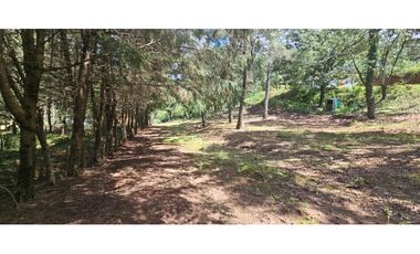 Bonito terreno en zona de bosque de mazamitla jalisco