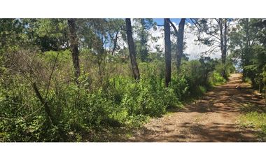 Bonito terreno en zona de bosque de mazamitla jalisco