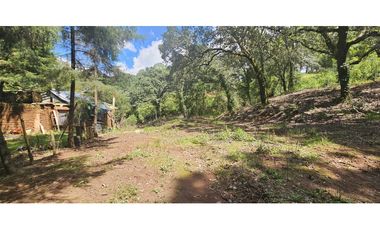 Bonito terreno en zona de bosque de mazamitla jalisco