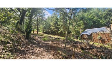 Bonito terreno en zona de bosque de mazamitla jalisco