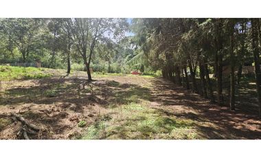 Bonito terreno en zona de bosque de mazamitla jalisco