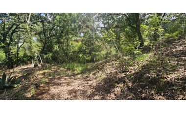 Bonito terreno en zona de bosque de mazamitla jalisco