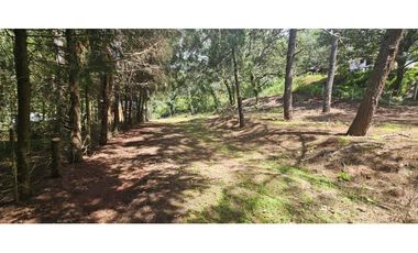 Bonito terreno en zona de bosque de mazamitla jalisco