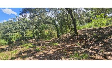 Bonito terreno en zona de bosque de mazamitla jalisco