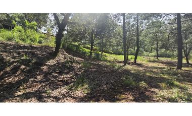 Bonito terreno en zona de bosque de mazamitla jalisco
