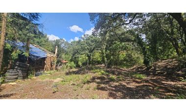 Bonito terreno en zona de bosque de mazamitla jalisco