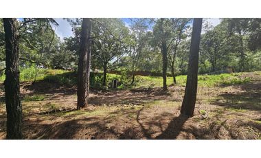 Bonito terreno en zona de bosque de mazamitla jalisco