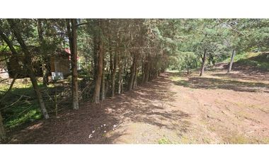 Bonito terreno en zona de bosque de mazamitla jalisco