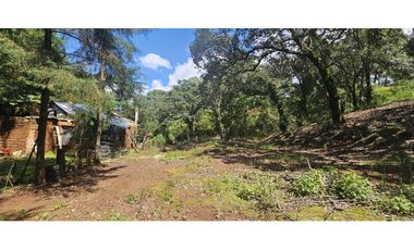Bonito terreno en zona de bosque de mazamitla jalisco