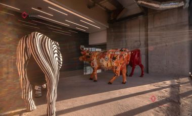 OFICINAS de Lujo en Venta en Colinas de San Javier HEREDIT