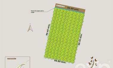Parcela en Venta en Los Almendrales de Nos - Parcela #15 , Comuna de Buin