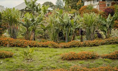 Finca en Venta Baeza provincia Napo 7 Hectáreas con 3 Casas y Laguna privada