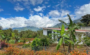 Finca en Venta Baeza provincia Napo 7 Hectáreas con 3 Casas y Laguna privada