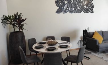 Casa en Venta sector Viñedos Torreón