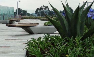 Local en Renta – 284 m² + Terraza de 268 m² | Santa Fe, Planta Baja