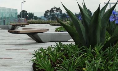 Local en Renta – 130 m² en Mezanine | Santa Fe