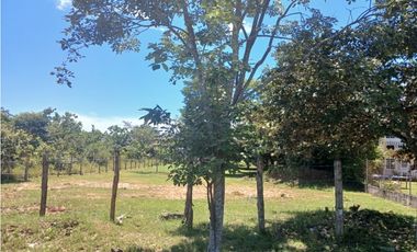 CORONADO / TERRENO / 1000M / CERCA DE PLAYA / CERCA DEL CUB DE GOLF AG