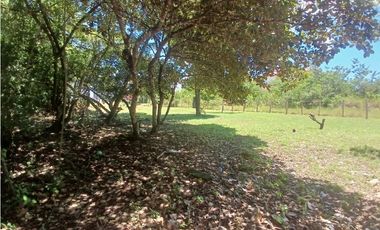 CORONADO / TERRENO / 1000M / CERCA DE PLAYA / CERCA DEL CUB DE GOLF AG