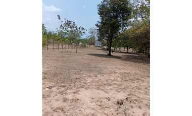 CORONADO / TERRENO / 1000M / CERCA DE PLAYA / CERCA DEL CUB DE GOLF AG