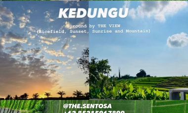 KEDUNGU dekat CANGGU PERERENAN