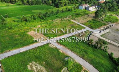 KEDUNGU dekat CANGGU PERERENAN