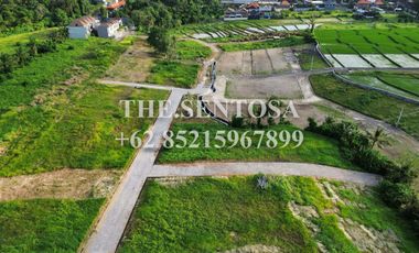 KEDUNGU dekat CANGGU PERERENAN