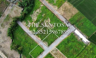 KEDUNGU dekat CANGGU PERERENAN