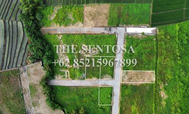 KEDUNGU dekat CANGGU PERERENAN