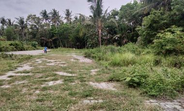 Tawangsari Permai-Tanah Murah Jogja Dekat Polsek Sentolo
