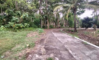 Tawangsari Permai-Tanah Murah Jogja Dekat Polsek Sentolo