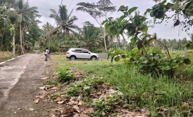 Tawangsari Permai-Tanah Murah Jogja Dekat Polsek Sentolo