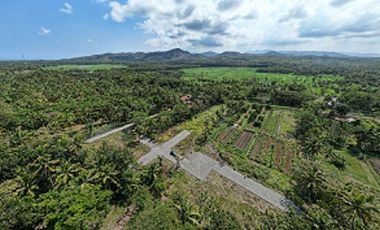 Tawangsari Permai-Tanah Murah Jogja Dekat Polsek Sentolo