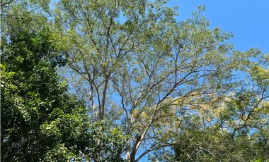 CASA CAMPESTRE EN ARRIENDO Y VENTA SECTOR SAN JERONIMO