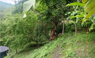 SIEB 228 HERMOSA FINCA EN VENTA LA MESA CUNDINAMARCA