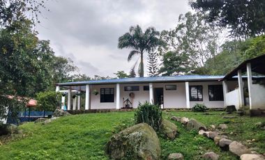 Arriendo Finca - Vereda Hospicio - La Mesa