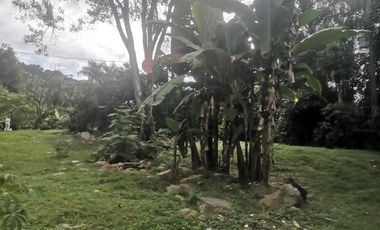 Arriendo Finca - Vereda Hospicio - La Mesa