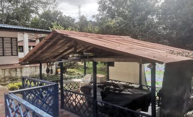 Arriendo Finca - Vereda Hospicio - La Mesa