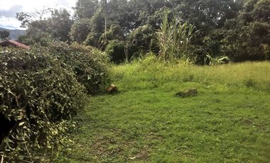 Arriendo Finca - Vereda Hospicio - La Mesa